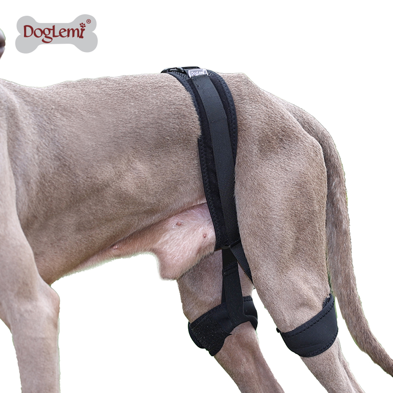 Pets Dogs Hind Leg Guard Recovery Orthodontic Band for Pet Dog Protective Hip Joint Correction Restore Pet Supplies