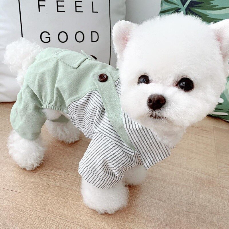 Dog Clothes for Small Dogs for Autumn and Winter Four Feet with Velvet Striped Suspers Pet Clothing Fresh Preppy Style