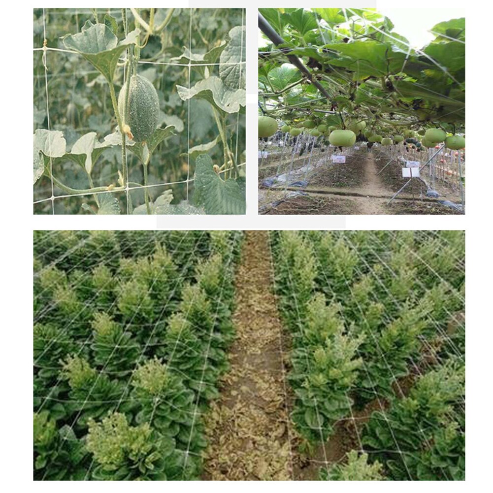 10m Garden Plant Trellis Netting Mesh Vine Landing Garden Weaving Grow Frame Vegetable Flower Cucumber Climbing Net Garden Tool