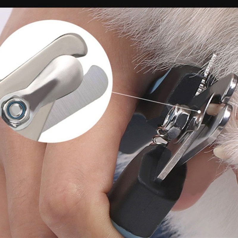 chien coupe-ongles coupe acier inoxydable toilettage ciseaux tondeuses pour animaux chats haut