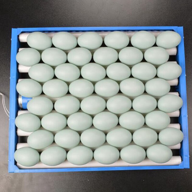 Juego de XD-1 de 360 grados volteador de huevos de pollo incubadora automática de huevos de avestruz de pato bandeja de huevos de aves de corral suministros de incubación