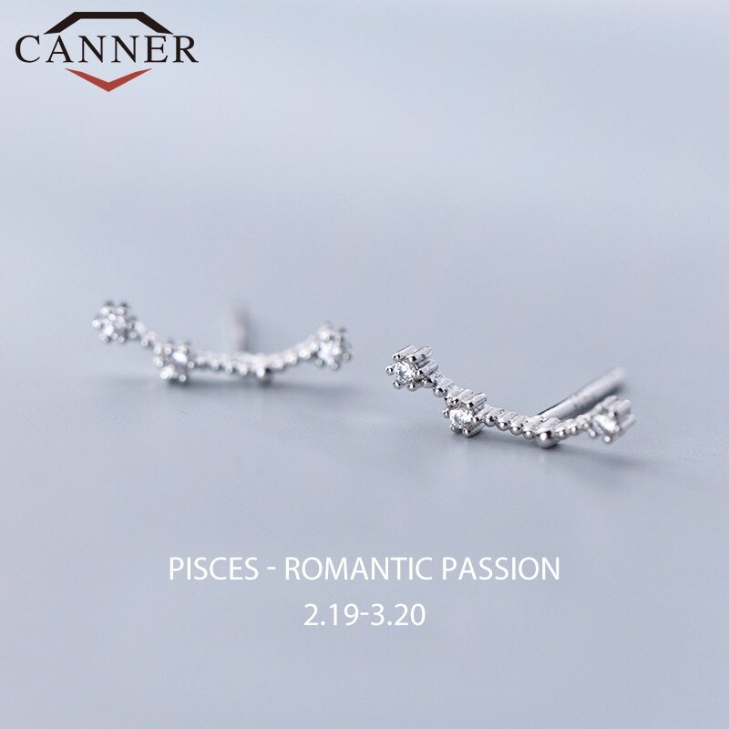 12 konstellation Kleine Frische Minimalistischen CZ Zirkon Ohrringe für Frauen 925 Sterling silber nette Stud Ohrringe Geburtstag: Pisces