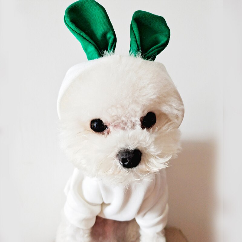 Zielona bluza z kapturem z motywem kota ubrania dla kota