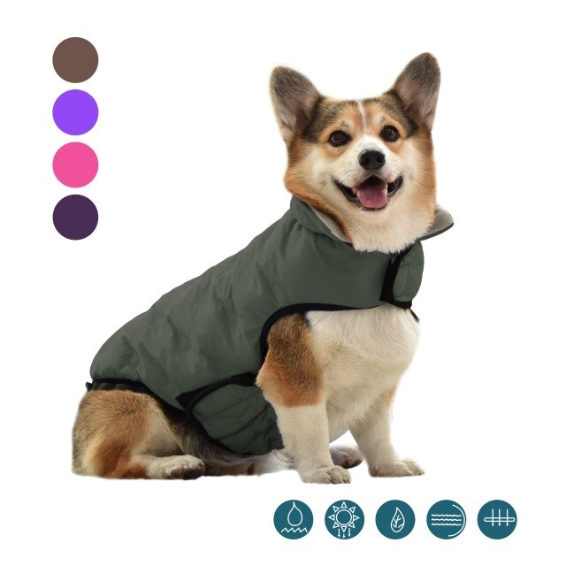Französisch Bulldogge Korgi Hund Kleidung Mantel Haustier Kleidung Winter Welpen Katze Kleidung Jacke Für Kleine Große Hunde Katzen Weste Ropa perro: Grün / XL