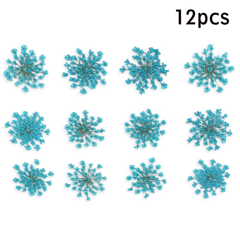 12/30Pcs Pressed Dried Ammi Majus Flower Dry Plants Necklace Jewelry Making Craft DIY Accessories Artificial Flower Decorations: 06