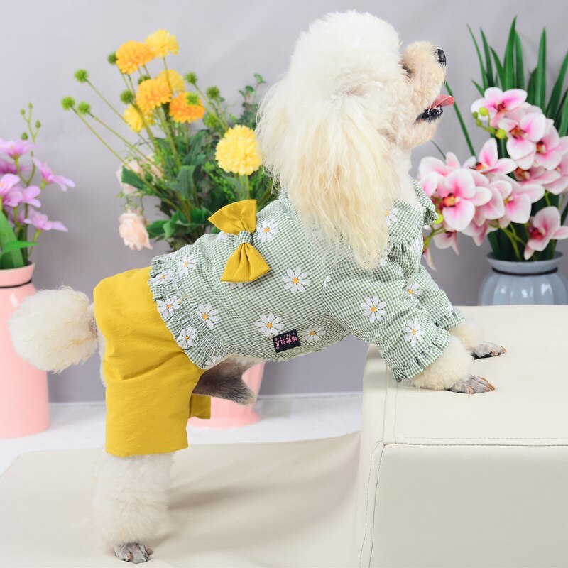 Talvi koiran takki takki pienen koiran puku haalari lämmin koiran vaatteet ropa de perro pomeranian bichon villakoira snautseri vaatteet