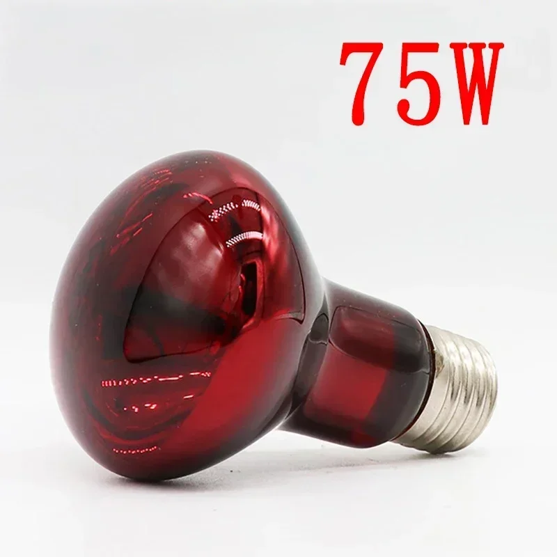 220V UVA Amfibische Rode Verwarming Lamp 25/40/50/75/100W Infrarood lamp Glazen Lamp Accessoires voor Reptielen Slang Hagedissen E27 Lamp: Licht Groen