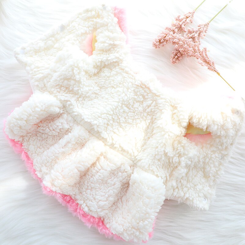 Winter Kat Hond Tutu Rok Chihuahua Yorkshire Pommeren Shih Tzu Maltezer Bichon Poedel Kleine Hond Kleding Jurk Huisdier Kleding