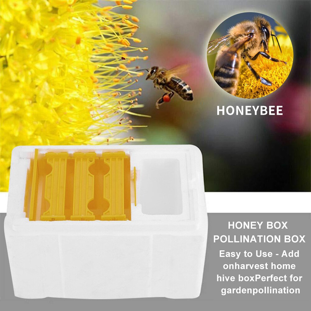 Schaum Biene Paarung Kasten mit Netz Warmkeeping Wasserdichte Königin Zucht fallen 24,1 x15x 14,1 cm Bienenzucht Werkzeuge für Bestäubung können CSV