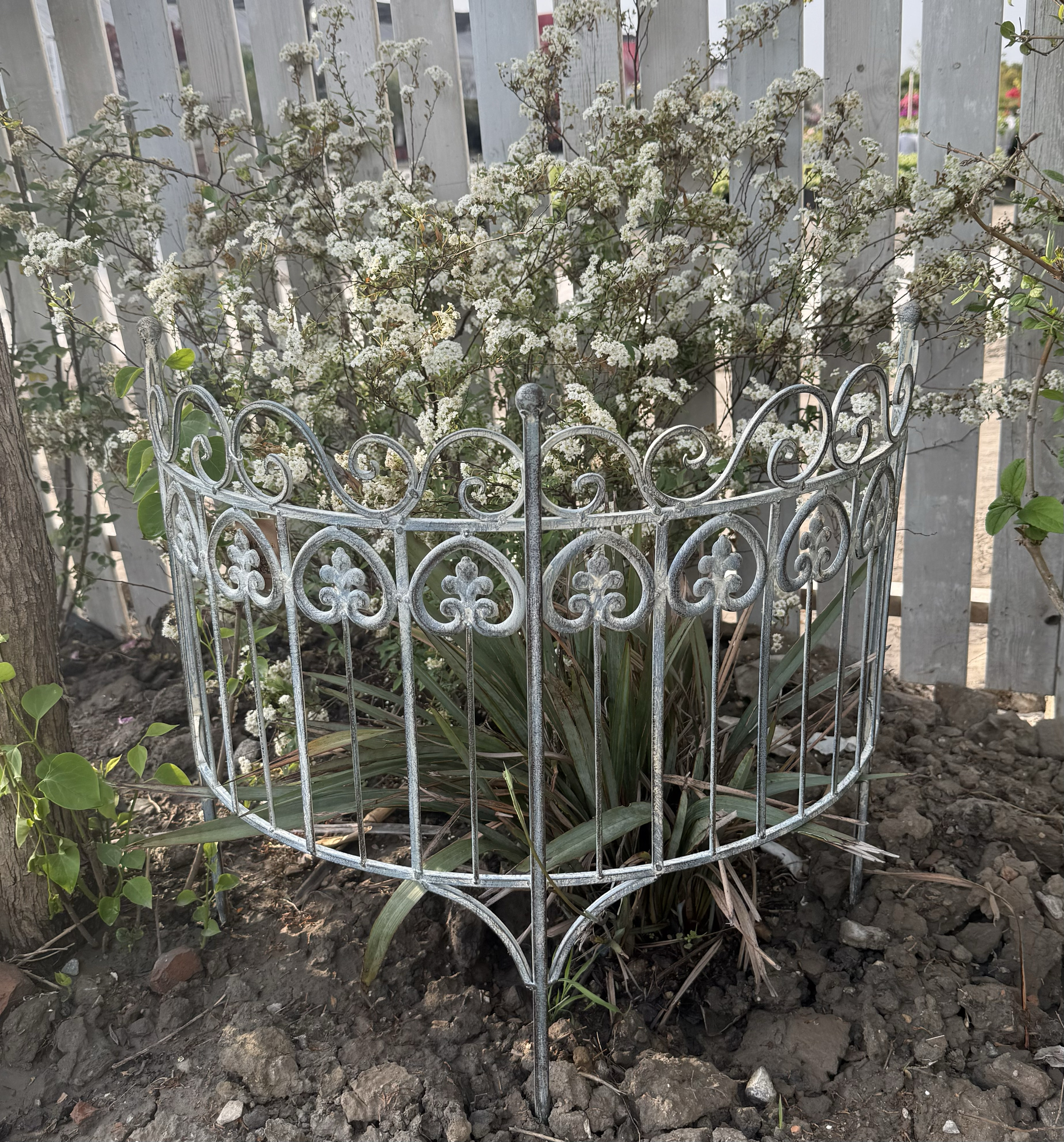 Valla de jardín rústica, sistema de soporte de plantas de hierro antiguo para enredaderas trepadoras, decoración de cama de flores, enrejado de jardín insertado en el suelo con borde: BLANCO