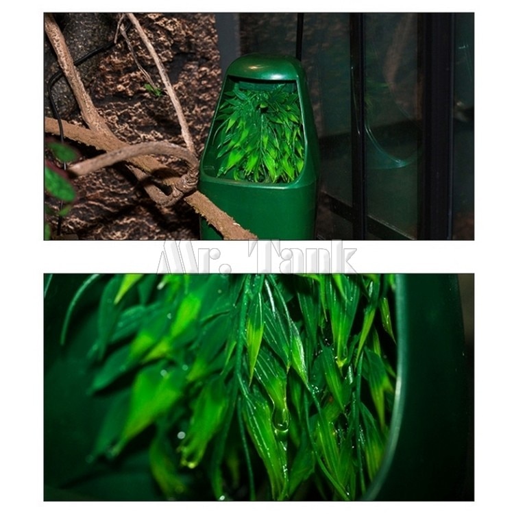 Mr.Tank Reptile Drinking Water Fountain Lizard Feeding Chameleon Filter