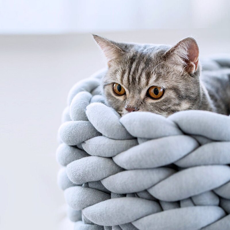 Lit pour chien Animal dessin animé en forme de tapis chaise longue canapé détachable lit pour animaux de compagnie coussin pour chien chenils hiver réchauffement grand panier matelas