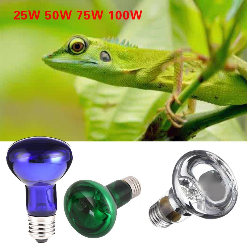 Reptile Heating Lamb Amphibian Bird Snake Lamb Red Light Night Warm Heating Insulation Lamp for Lizards Turtles Animal Lighting
