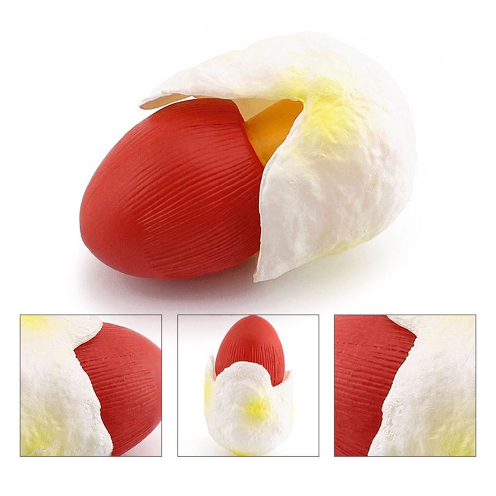 Modelo de vegetais estatuetas de fungos matsutake oyste simulação artificial cogumelo pleurotus planta modelo de fungo decoração de jardim