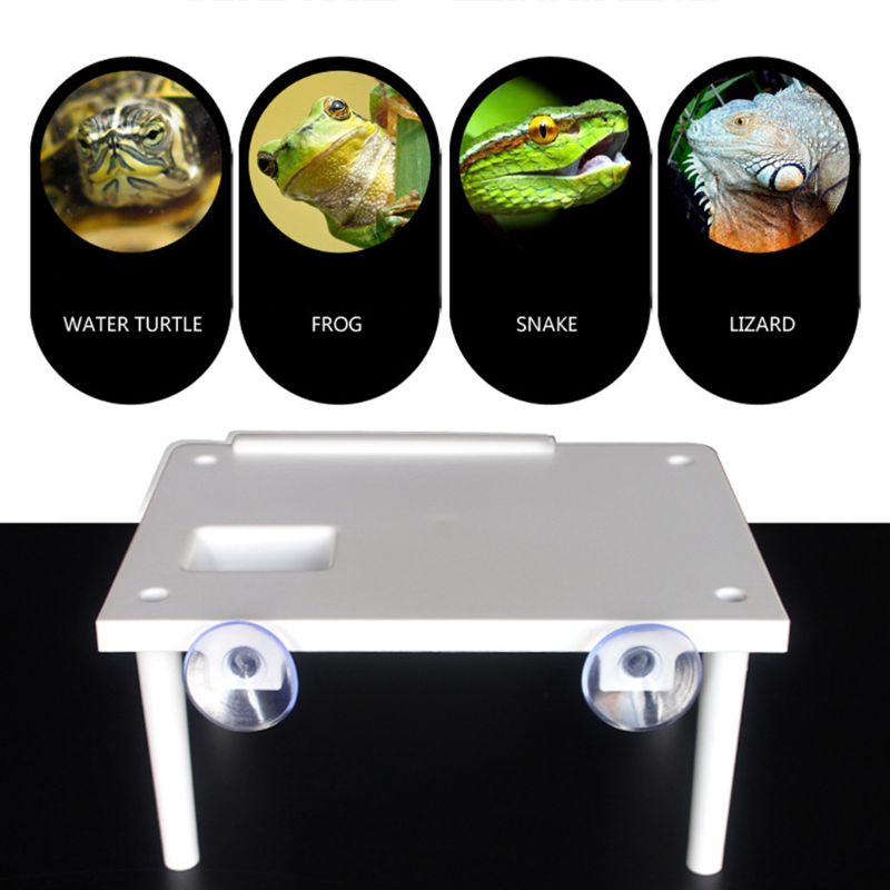 Plastic Turtle Basking Platform Reptile Ramp Ladder Resting Terrace Suction