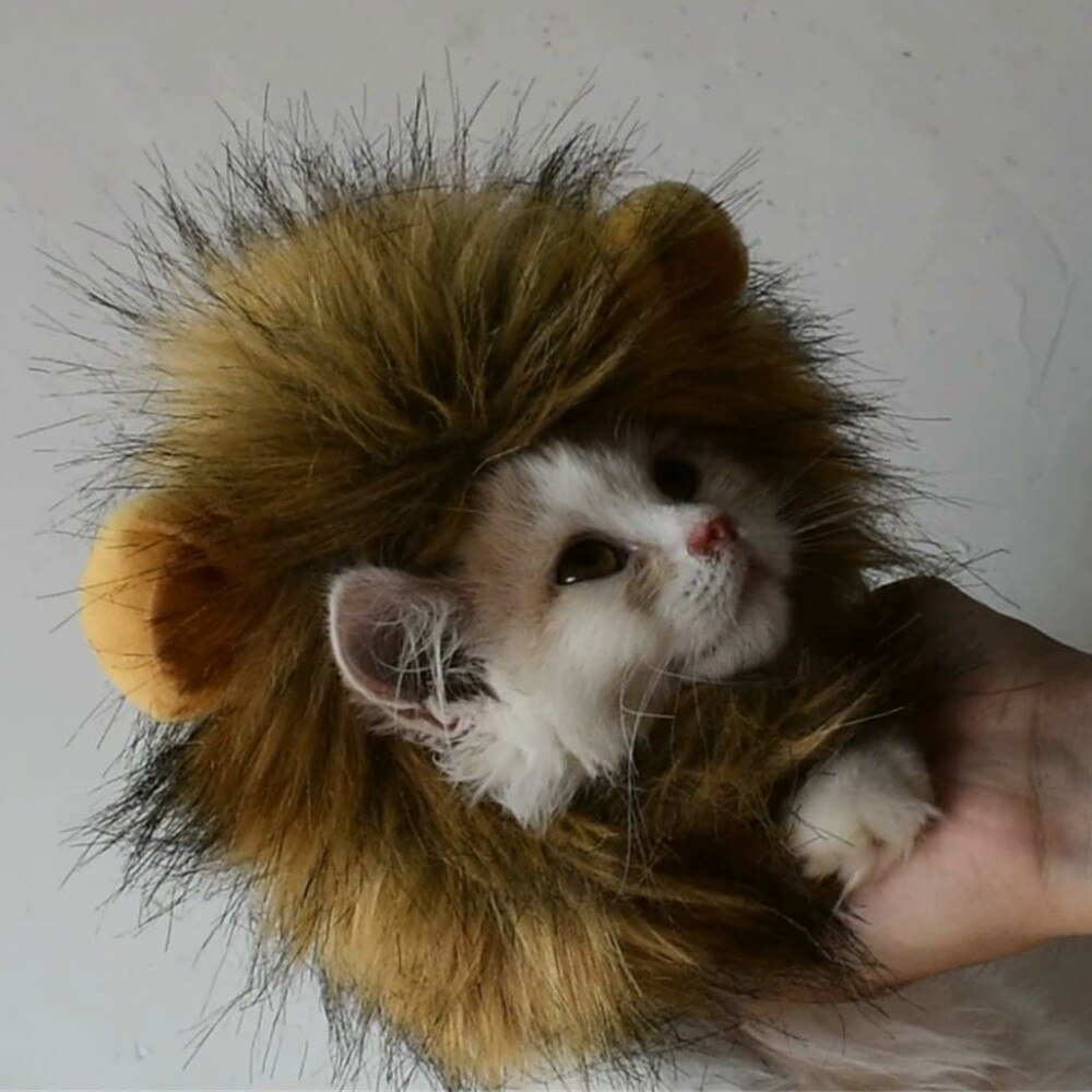 Engraçado bonito animal de estimação gato traje leão mane peruca chapéu para gato cão dia das bruxas roupas de natal fantasia vestido com orelhas roupas para animais de estimação