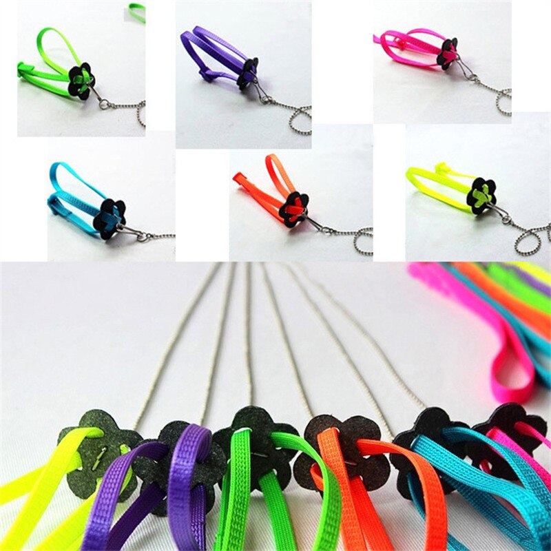 Portable Bird Parrot Traction Rope Bird Traction Rope Bird Flying Rope Walking Rope Adjustable Anti-bite Training Rope