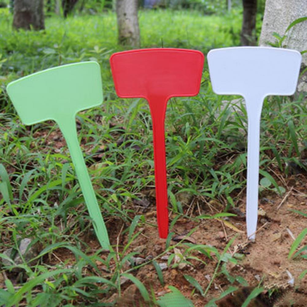10 sztuk/zestaw 20cm etykiety na rośliny wodoodporna konstrukcja wkładki w kształcie litery T plastikowe znaczniki na rośliny klasyfikacja znak sortowania bilet robić ogrodnictwa