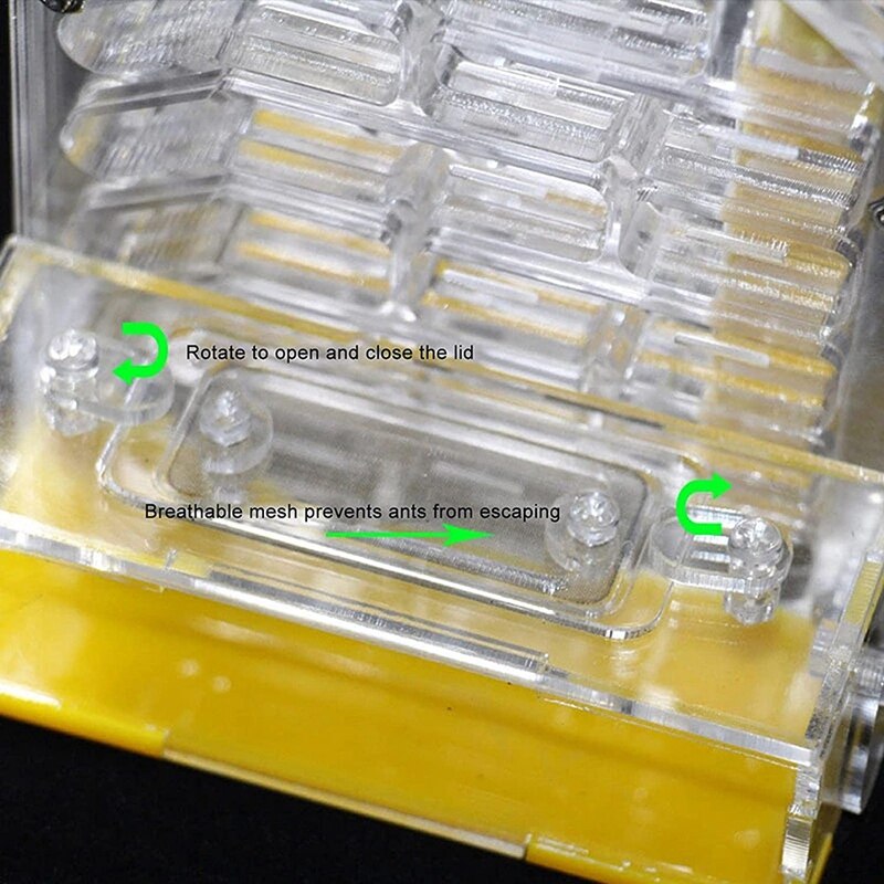 Ant Nest Ant Farm Acrylic Farm Insect Cage Display Space For Ant Feeding, Ant Feeding Farm House Ants Moisturizing Den