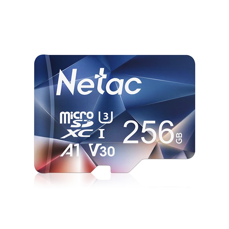 Netac P500 A1 Memory Card 32GB 16GB 64GB 128GB 100MB/S Micro SD Card Class10 UHS-1 SD Card 64GB Cards Free Shiping: 256GB