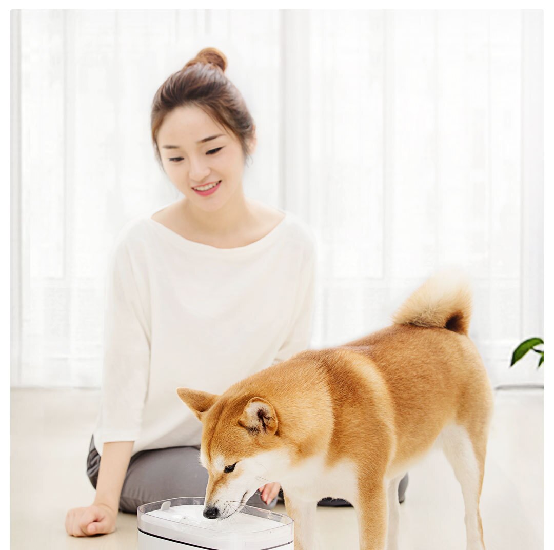 Xiaomi, kæledyrs vanddispenser, kattevandskilde , 2l elektrisk springvand, smart hund automatisk drikker, firdobbelt filtrering