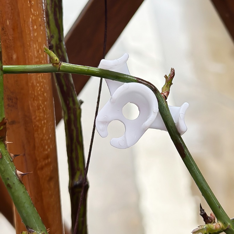 Dispositivo de doblado de ramas de plantas, entrenamiento de baja presión, Clips fijos, doblador de entrenamiento de flores y plantas reutilizables, herramienta de jardín para el hogar