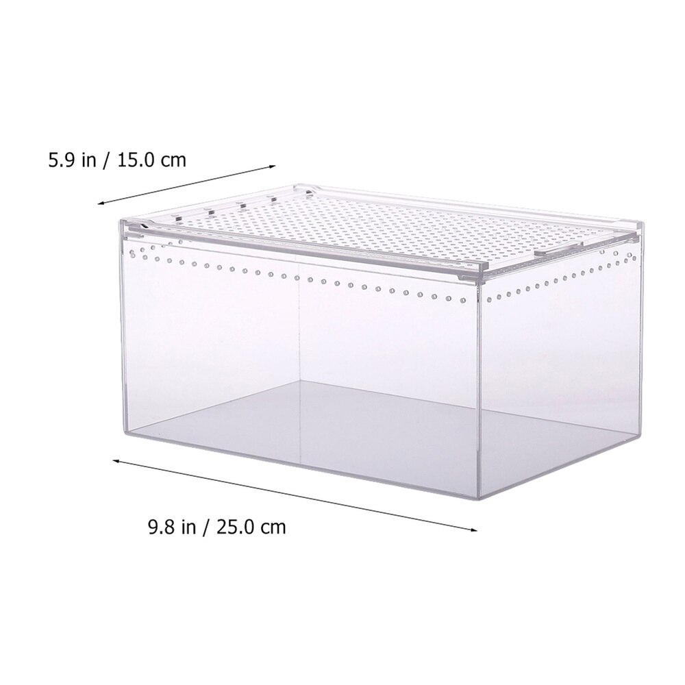 Climbing Pet Feeding Box Insect Spider Small Pet Aquarium Breeding Box