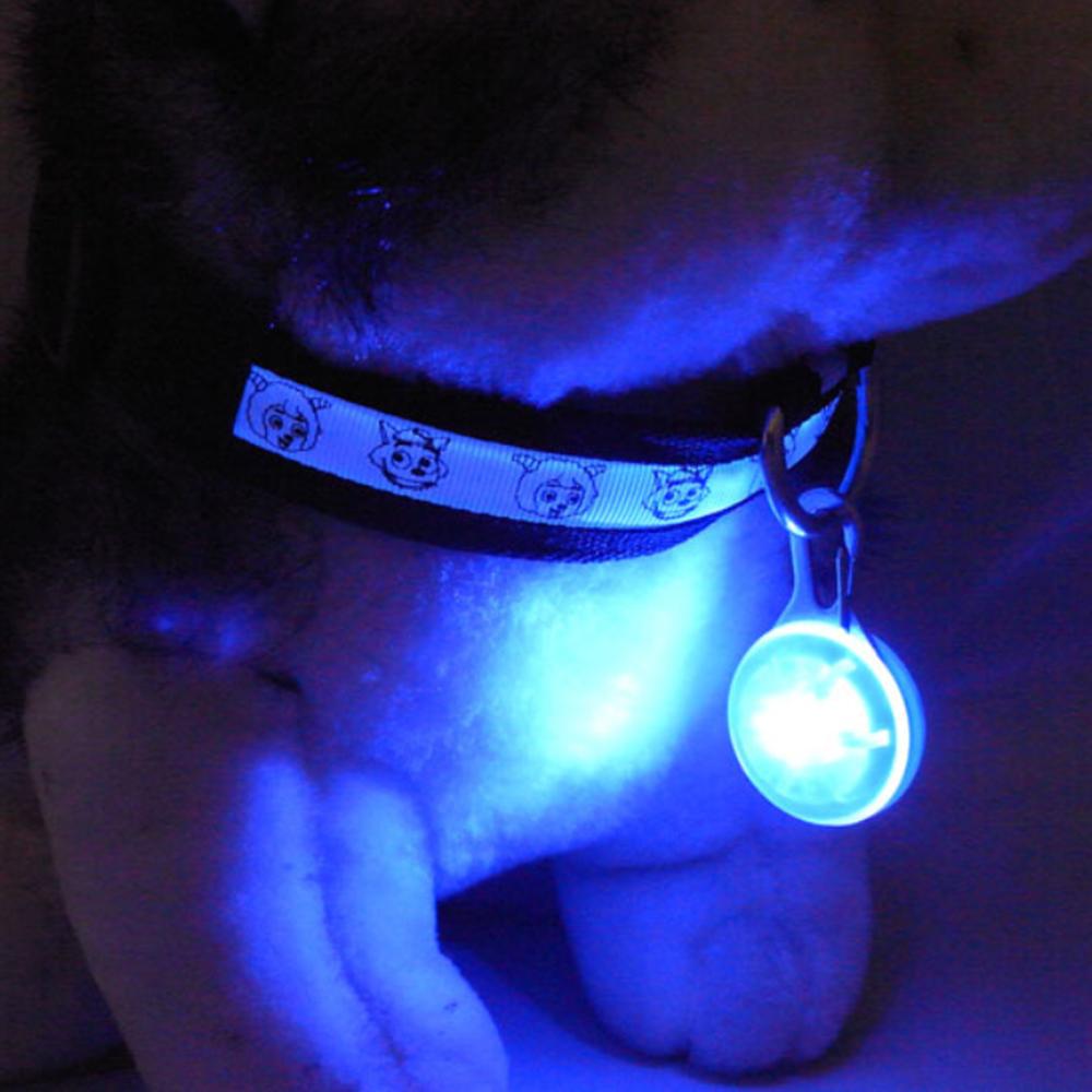 1pc ledet hundehalsbånd natlys vedhæng sikkerhed kæledyr fører halskæde lysende lyse dekoration kraver til hunde kæledyr hund tilbehør