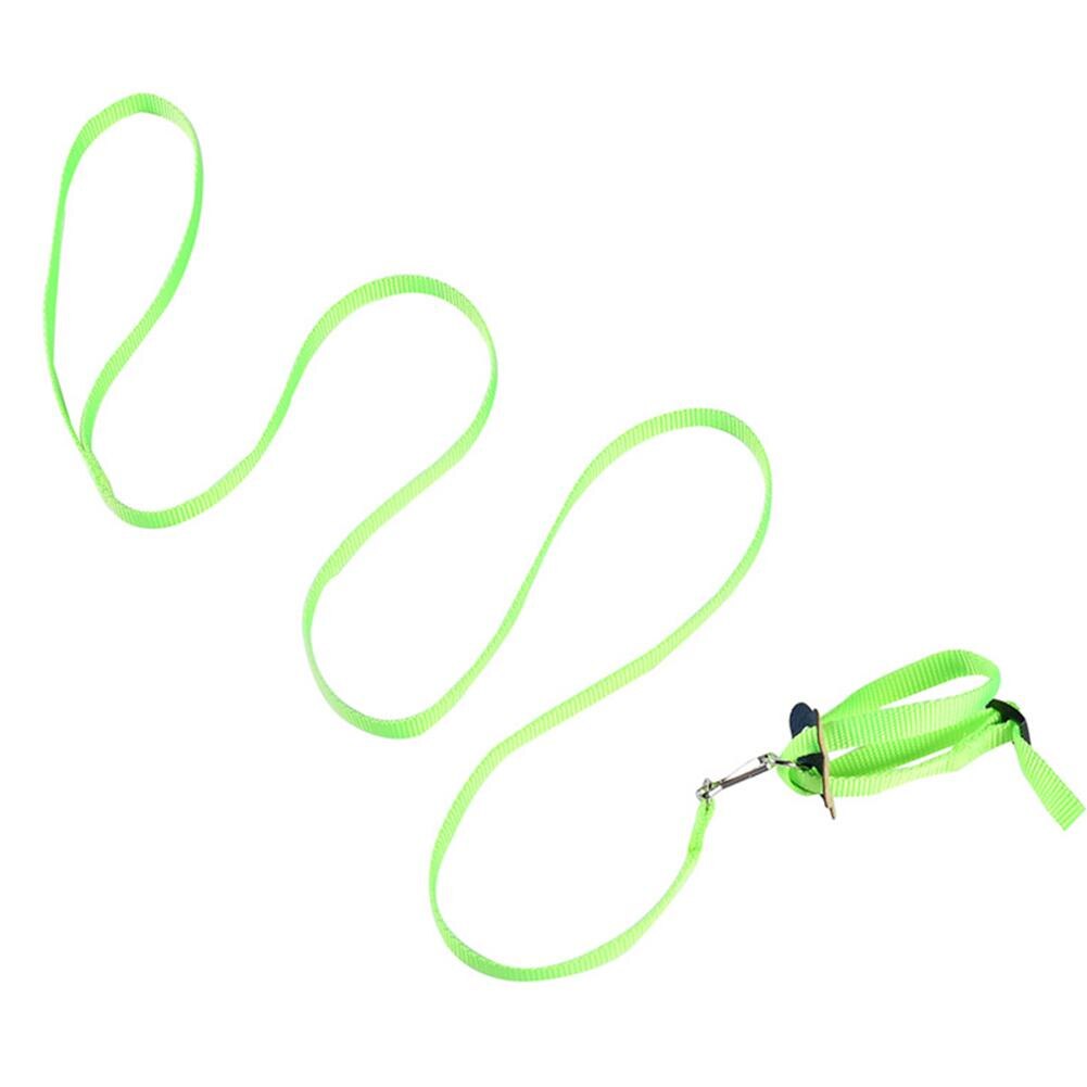 8 kształt latający lina treningowa smycz dla papuga ptak chomika żółw jaszczurka