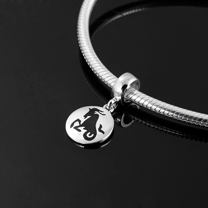 Eusense Charm 925 Sterling Zilveren Bead Charms Fit Europese Armband
