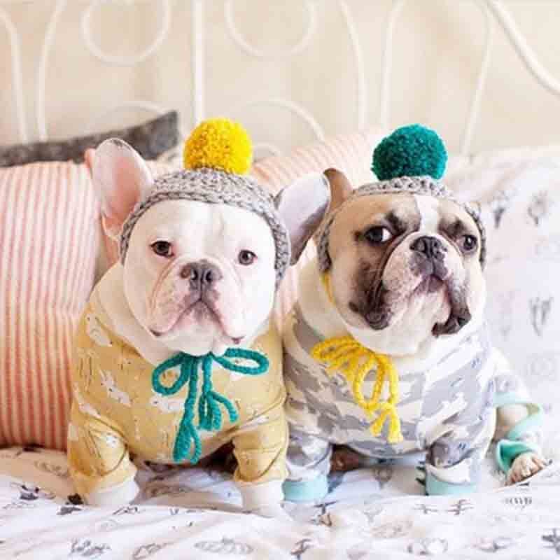 Søt linje ball form kjæledyr katt hund fest kostyme antrekk for bulldog vinter varm hund morsom katt pet lue cap