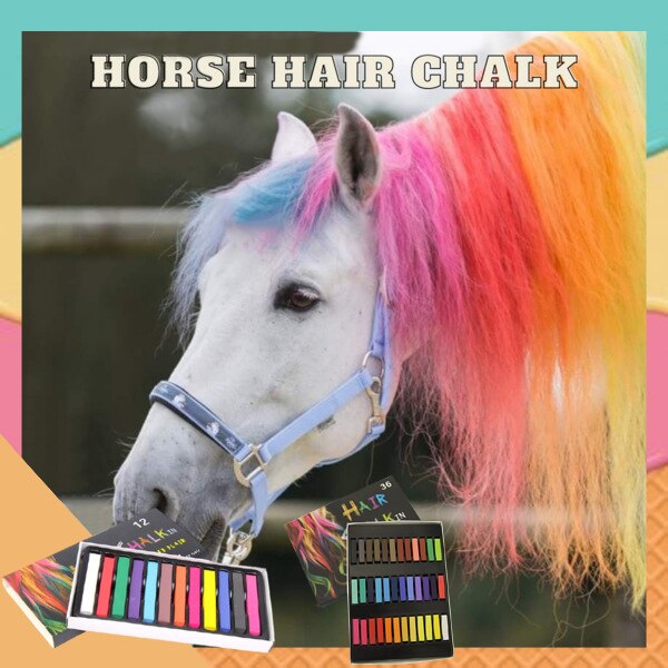 Horse Hair Chalk Temporary Washable Hair Coloring ... – Vicedeal