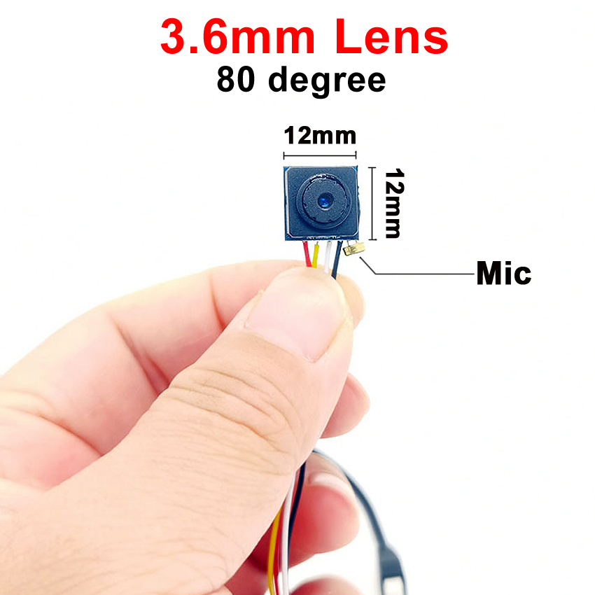Super Mini Maat Cvbs 700TVL 170 Graden 1.8Mm/80 Graden 3.6Mm Lens Kleinste Home Audio Micro Minimini video Surveillance Camera: Bruin / NTSC