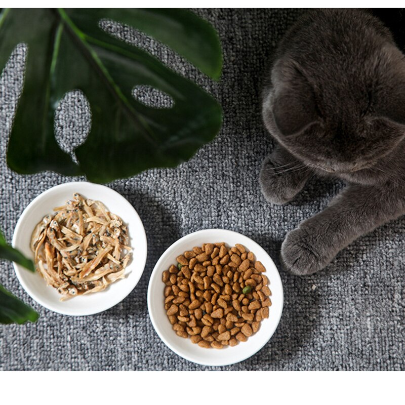 Cute Cat Small Saucer Shape Mini Plate Ceramics Cartoon Dish Snack Plate Chinchilla Squirrel Hedgehog Bowl