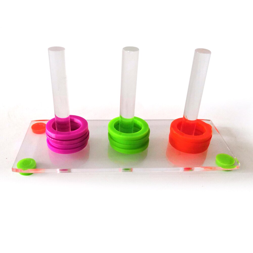 Development Home Pet Educational Small Bird Funny Acrylic Color Separate Intelligence Parrot Toy Set Training Ring Interactive