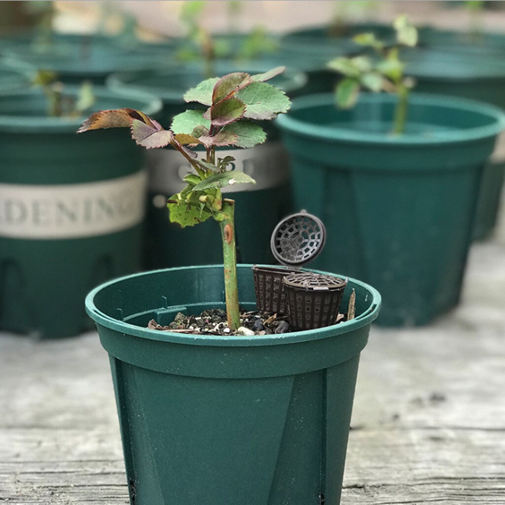 10PCS Fertilizer Box Jade Bonsai Fertilization Box With Cover Dome Case Plastic Plant Bug Portable Nursery Pots Gardening Supply