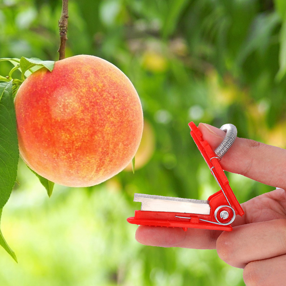 2pcs Vegetable Fruit Harvesting Picking Tool Garden Separator Fruit Picking Tool for Farm Garden Orchard