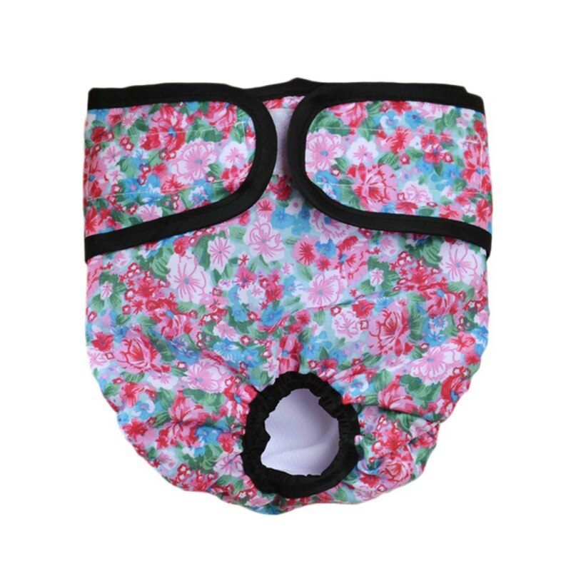 Couche-culotte physiologique pour chien, culotte pour chien, sous-vêtements pour chiens, fournitures pour animaux de compagnie,