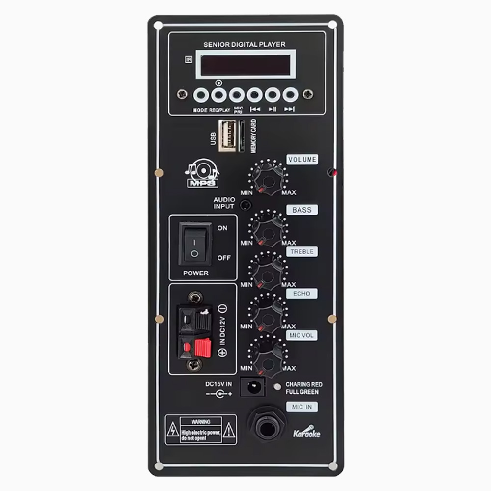 12V Amplifier Board Square Dance Speaker Amplifier Support Bluetooth AUX TF-Card U-Disk Recording 6-12Inch Speaker 80W: PURPLE