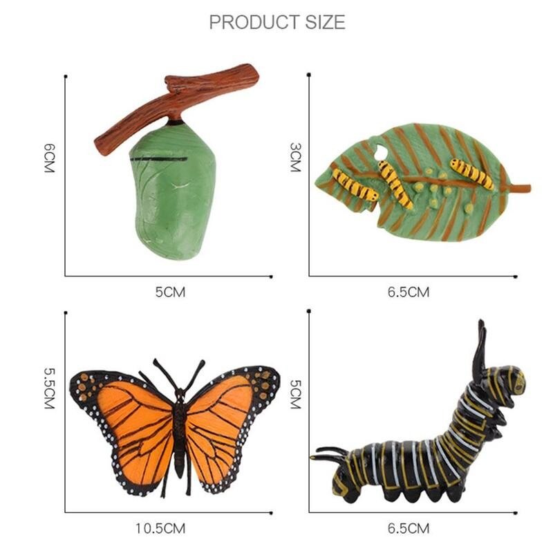 Simulatie Insect Bee Groei Cyclus Model Beeldjes Kikkers Zee Groei Mier Set Mosquito Model Cyclus Cijfers Kip Speelgoed T G5N