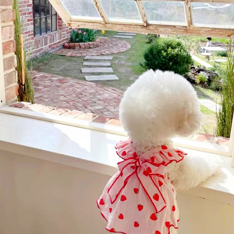 Vestido de verão para cachorro, saia fofa com estampa de morango e laço, vestido de princesa para gato, chihuahua yorkie, saias doces, fantasia de cachorro, roupas para animais de estimação