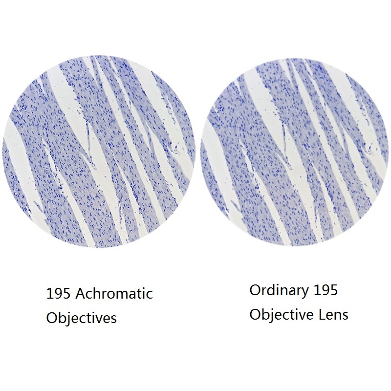195 Achromatic Objective Lens 4X 10X 20X 40X 60X 100X f/ Biological Microscope Lens Coating RMS 20.2mm Standard Thread Interface