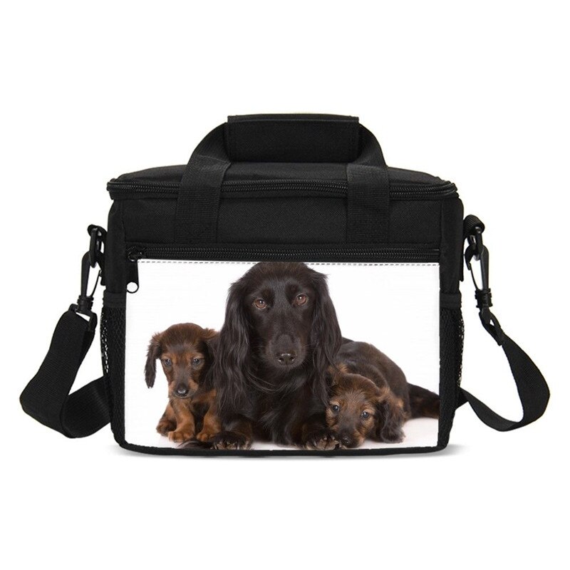 Animal Print Dachshund Sausage Dog Kawaii Kids Cooler Bag Picnic Outside Insulated Box Women Portable Lancheira Thermo Thermal: SCBU019001GYY