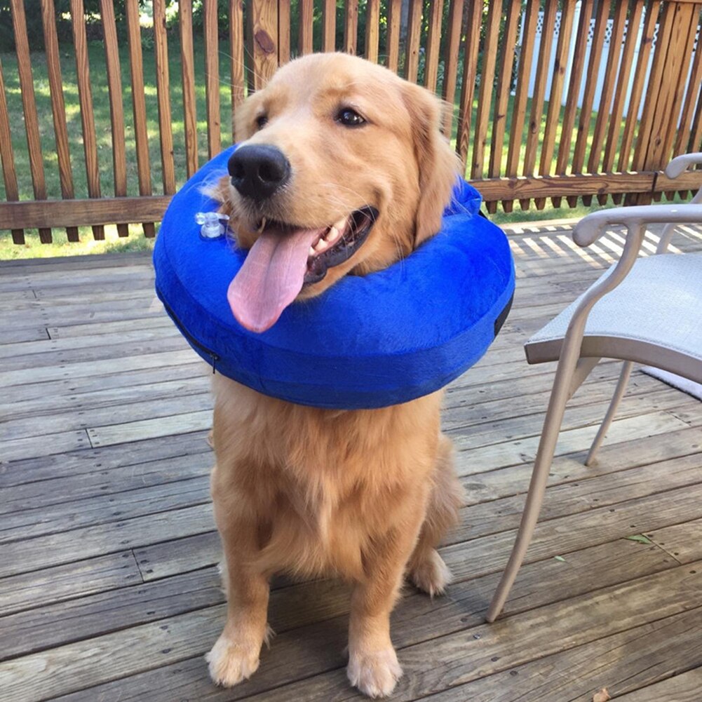 Inflatable Pet Collar Dog Cat Thick Liner Anti-Bite Neck Cushion Recovery Protective Circle Collar For Small Large Dogs