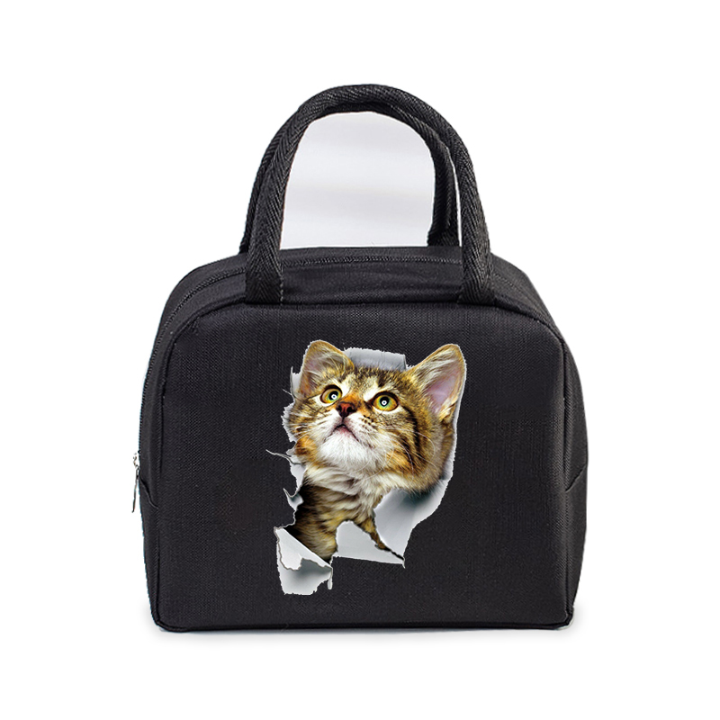 Lunch Bag for Women Men Insulated Portable 3D Cartoon Cats Multifunctional Bag Thermal Food Container School Kids Picnic Handbag: SZARY