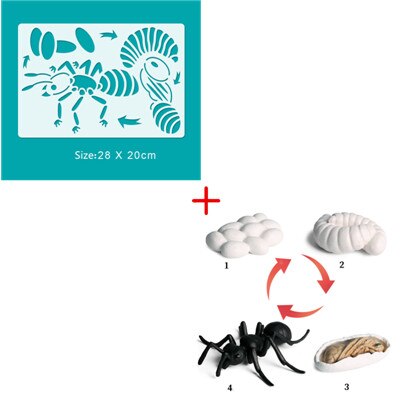 6 Sets Simulation Animal Life Cycle Growth Model Butterfly Frog Turtle Chick Ant Stencils Drawing Board Biology Teaching Tools: Plum