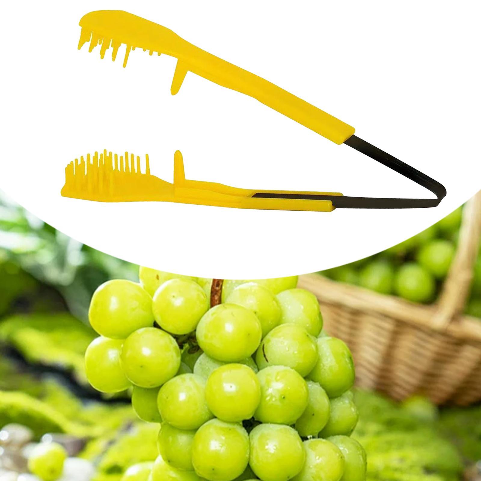 Clipe de poda de uva ferramenta de desbaste cortador de uva tesouras de poda mão podador conforto lidar com tesouras de poda ferramentas de jardinagem