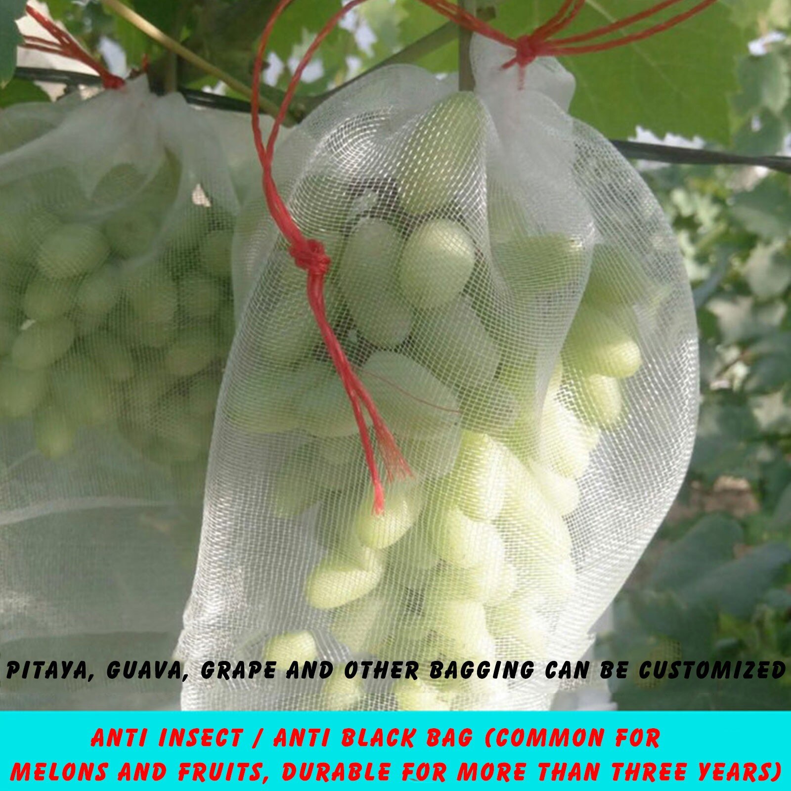 Nylon Fruit Bescherming Zakken Plant Beschermen Tassen, Herbruikbare Nylon Mesh Netting Qw