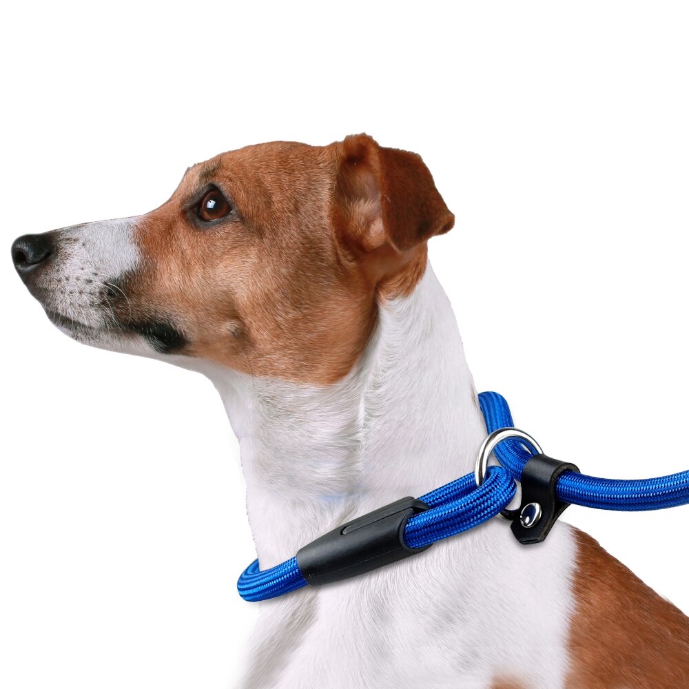 Nylon hondenriem, puppy-uitlaattraining, hondenriem, riem, halsband, touw voor kleine en middelgrote honden, dierenbenodigdheden