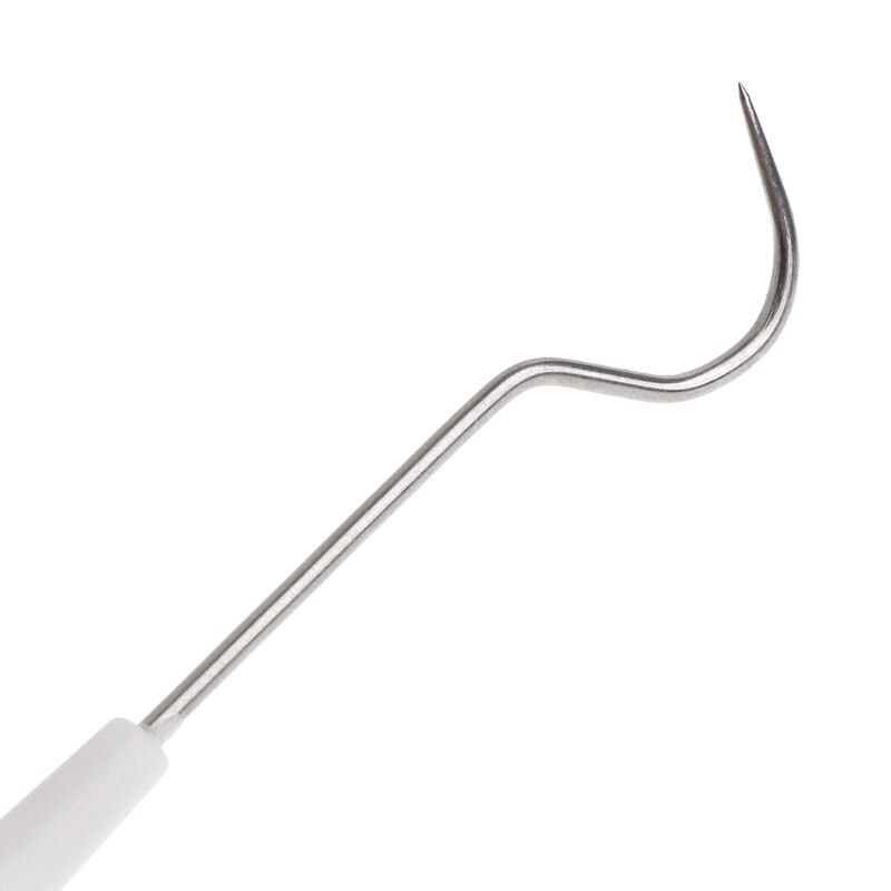 Nettoyeur de fourmis, crochet de nettoyage, outils à Double tête, Tube à essai, nid en acier inoxydable, fournitures d'insectes